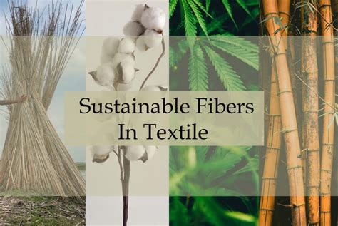  Kapok, Une Fiber Textile Naturelle et Biodégradable Pour le Futur Durable de l'Industrie du Vêtement?