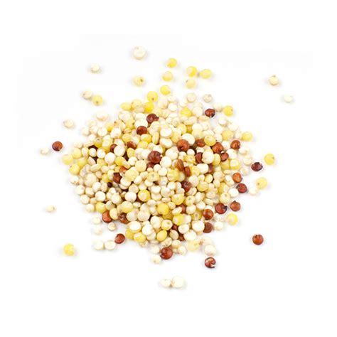 Quinoa: Un grain ancestral aux multiples applications dans l'industrie textile !