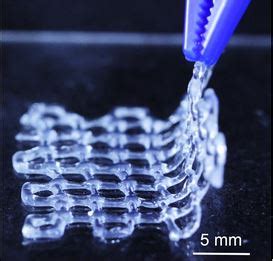 Alginate: Une Merveille Naturelle pour l'Impression 3D et les Applications Biomédicales !