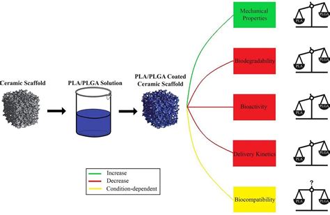 Biocompatibilité et Biodégradabilité Exceptionnelles du Biopolymère Polylactide (PLA) !