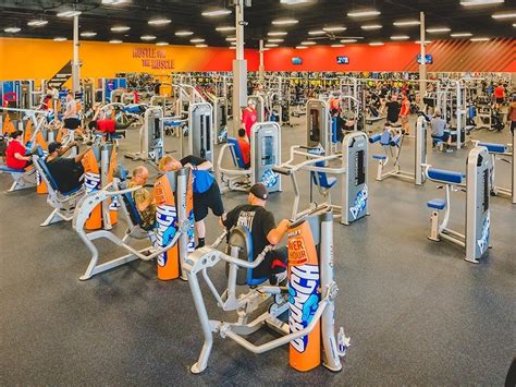 Does Crunch Fitness Have an Annual Fee? And Why Do Gyms Love Hidden Charges?