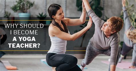 How Can I Become a Yoga Instructor: And Why Do Cats Always Sit on Yoga Mats?