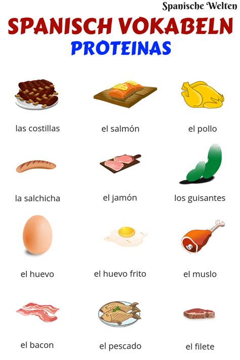 How Do You Say Protein in Spanish? And Why Does It Matter in a World of Avocado Toasts?