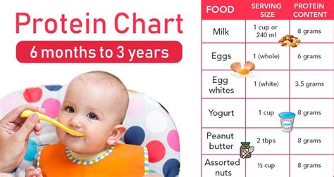 How Much Protein Does a Newborn Baby Have, and Why Do Astronauts Crave Pickles in Space?