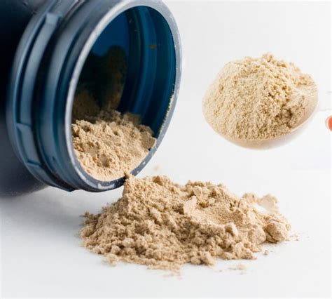 Is Equate Protein Powder Good? Exploring the Cosmic Connection Between Fitness and Quantum Physics