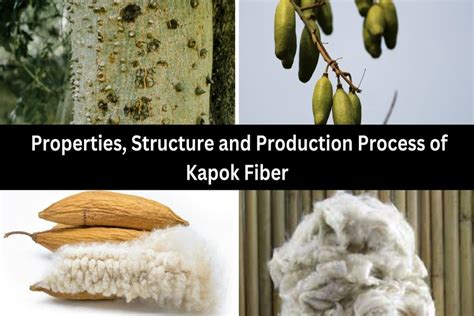  Kapok: Une Fibre Textile Naturelle aux Propriétés Extraordinaires pour l’Industrie du Luxe !