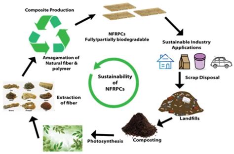  Lin : Découverte d’une Fibre Naturelle aux Multiples Applications Industrielles !