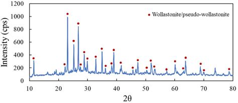  Wollastonite: Un Champion de la Biocompatibilité et de l'Osseointégration !